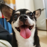 tita