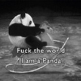 sajfds
