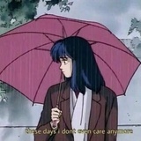 六月的甲虫
