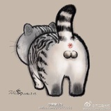 喵咪