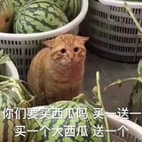 寂寞有害