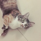 伊萨卡岛在这里