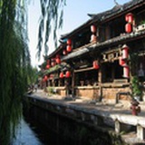 迷途的小山羊