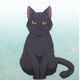 吃书猫