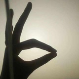 黄白羊