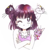我家猫咪叫元宝