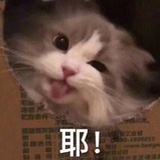 李开心