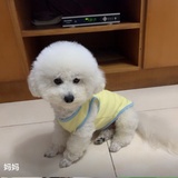维c果粒多-