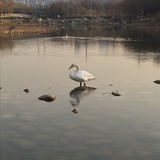 简迷离