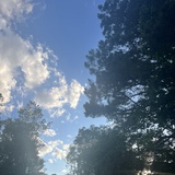 澈一