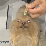 红白蓝线线
