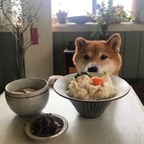 秋禾