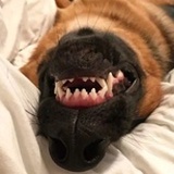 Batuwa