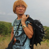看来看去不去
