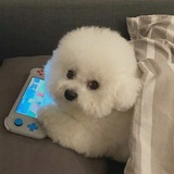 你说就是你有理