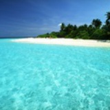 金海林源