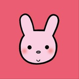 王小兔