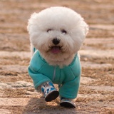 棉花糖小熊