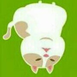 大咕咕咕鸡