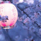 咸鱼杂货铺