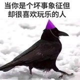 小路乱撞