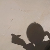 -银杏与桂