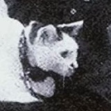 坏机