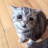 小尘