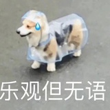 迷迷茫茫