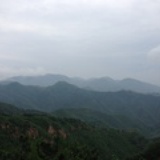 无名的弗兰克