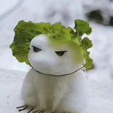 兔小宝