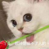 加量不加价