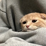 王英俊俊俊子