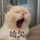 如斯_