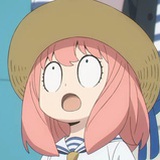 莫茉花开