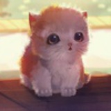 Bellacat