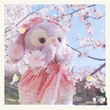 ANOVSW