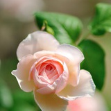 love24