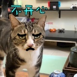 REN