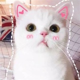 嘴丧人不能丧