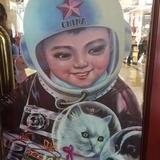 问问知多少