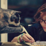 平行世界里的海