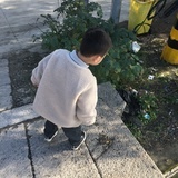 miya