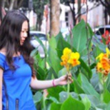 七月葵花8