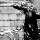 肆雪