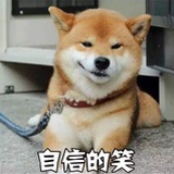 皮皮虾的海