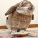 大慈善家