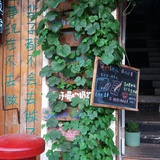 牛叉包