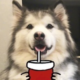 āaaaaaāaaaaa