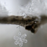 飞雪